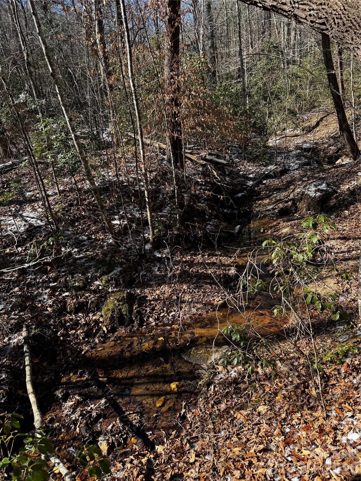 0 Painters Gap Road Union Mills NC 28167
