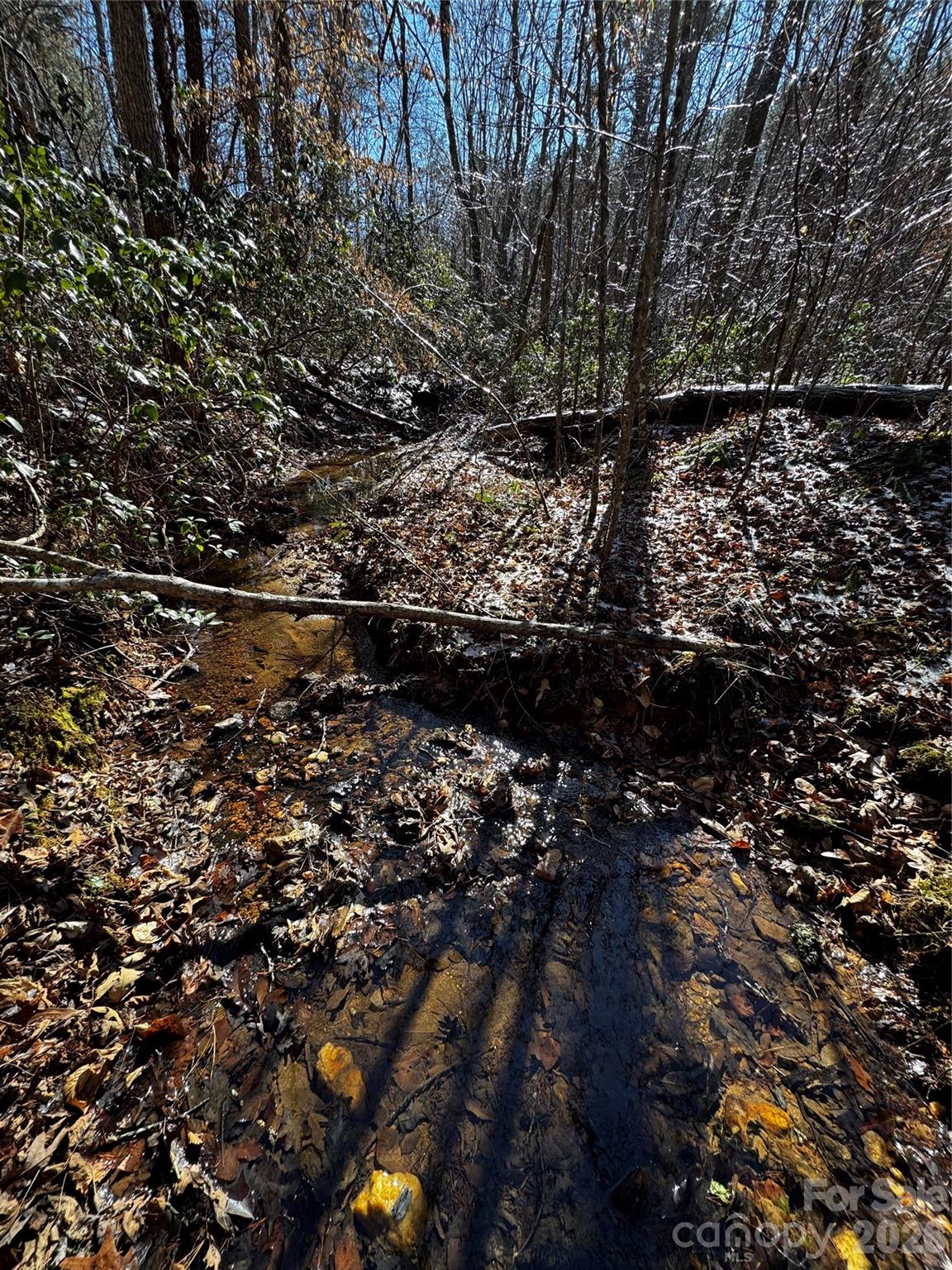 0 Painters Gap Road Union Mills NC 28167