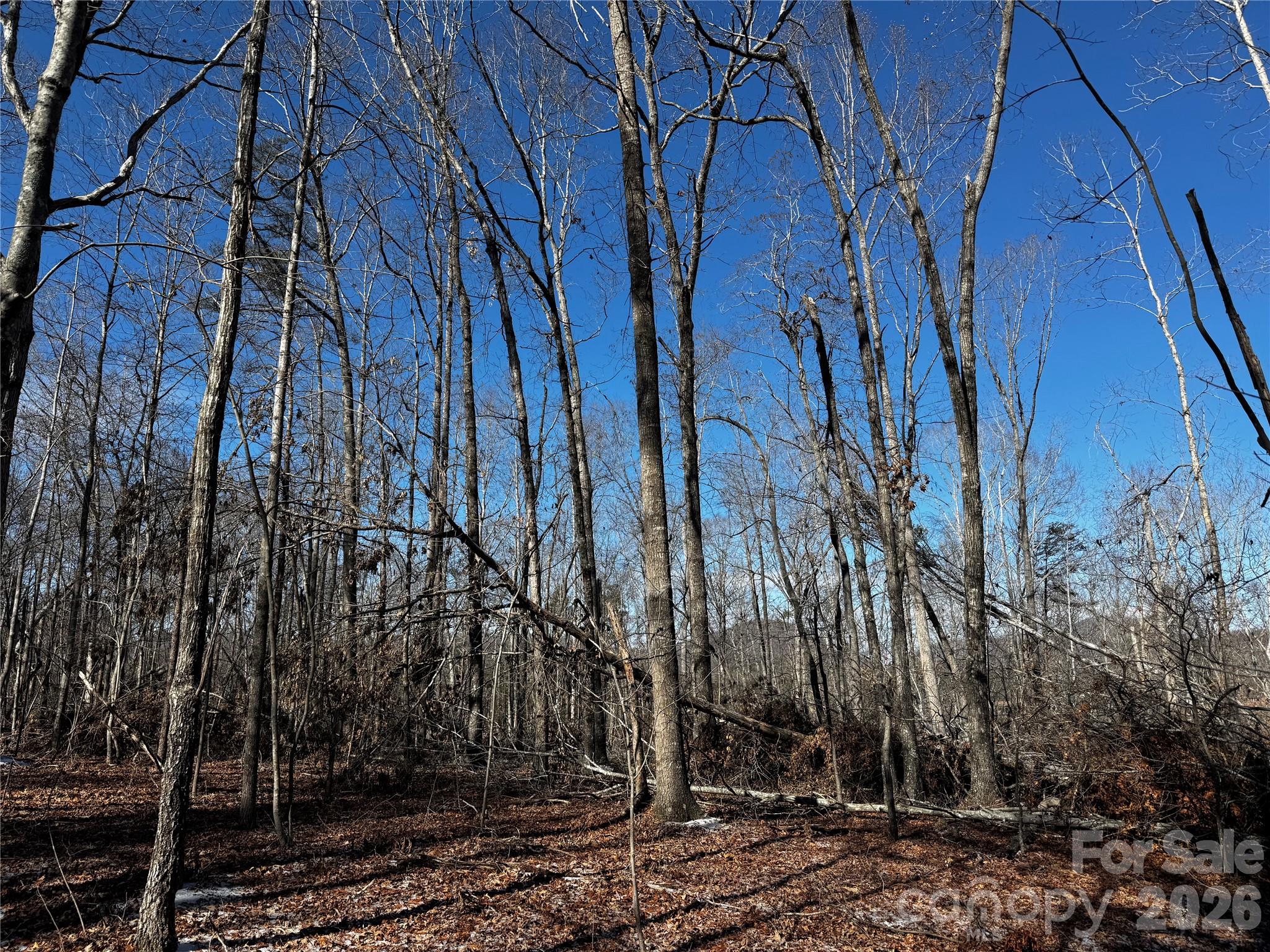 0 Painters Gap Road Union Mills NC 28167