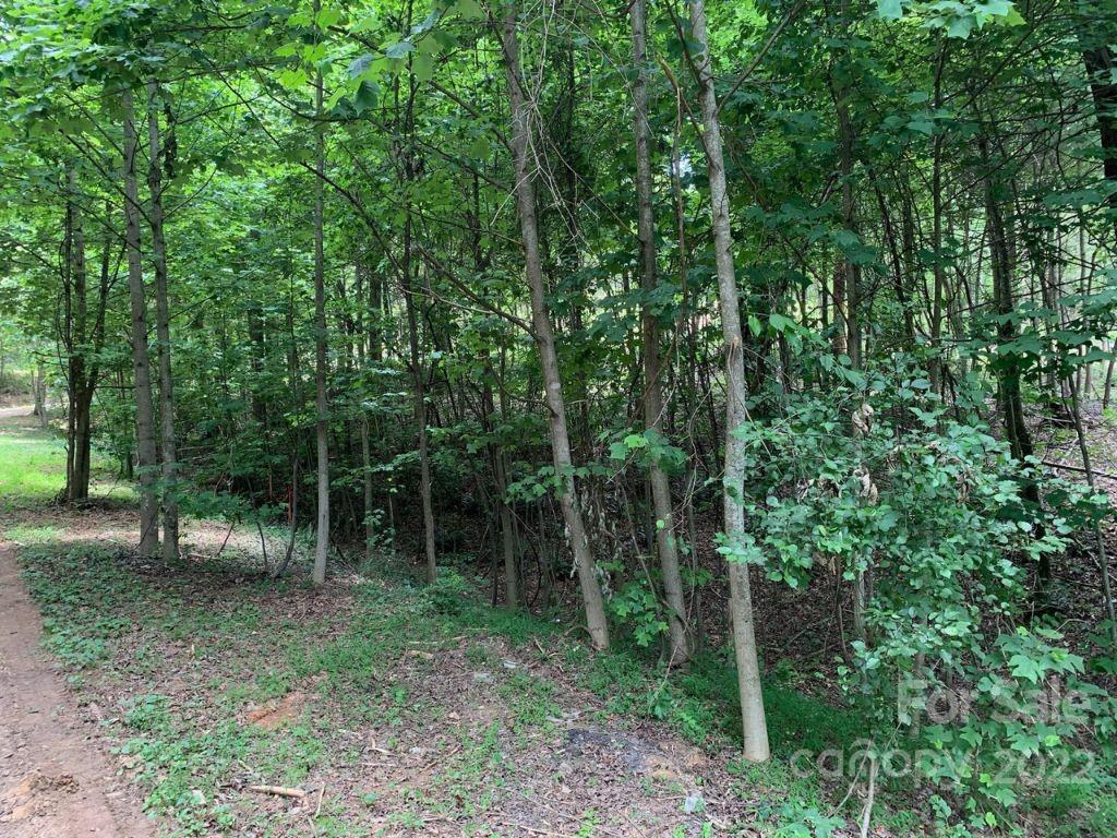 23 Haviture Way Candler NC 28715
