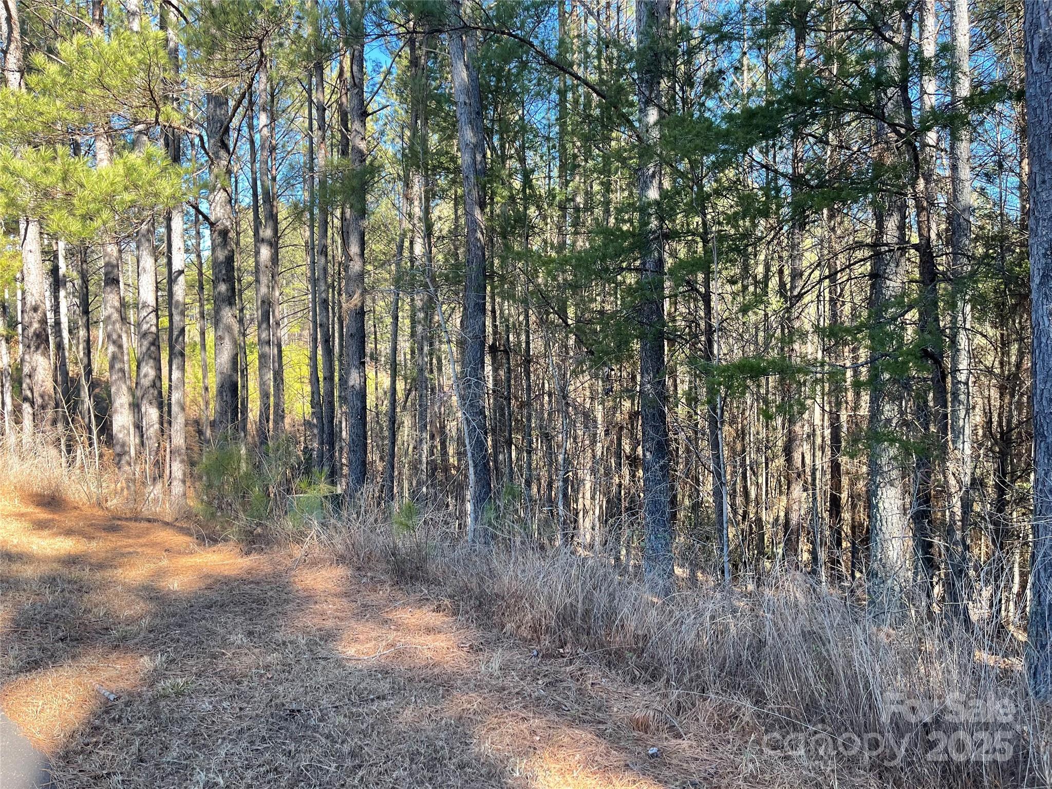 109 Shortoff Trail Valdese NC 28655