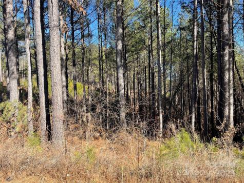 109 Shortoff Trail Valdese NC 28655