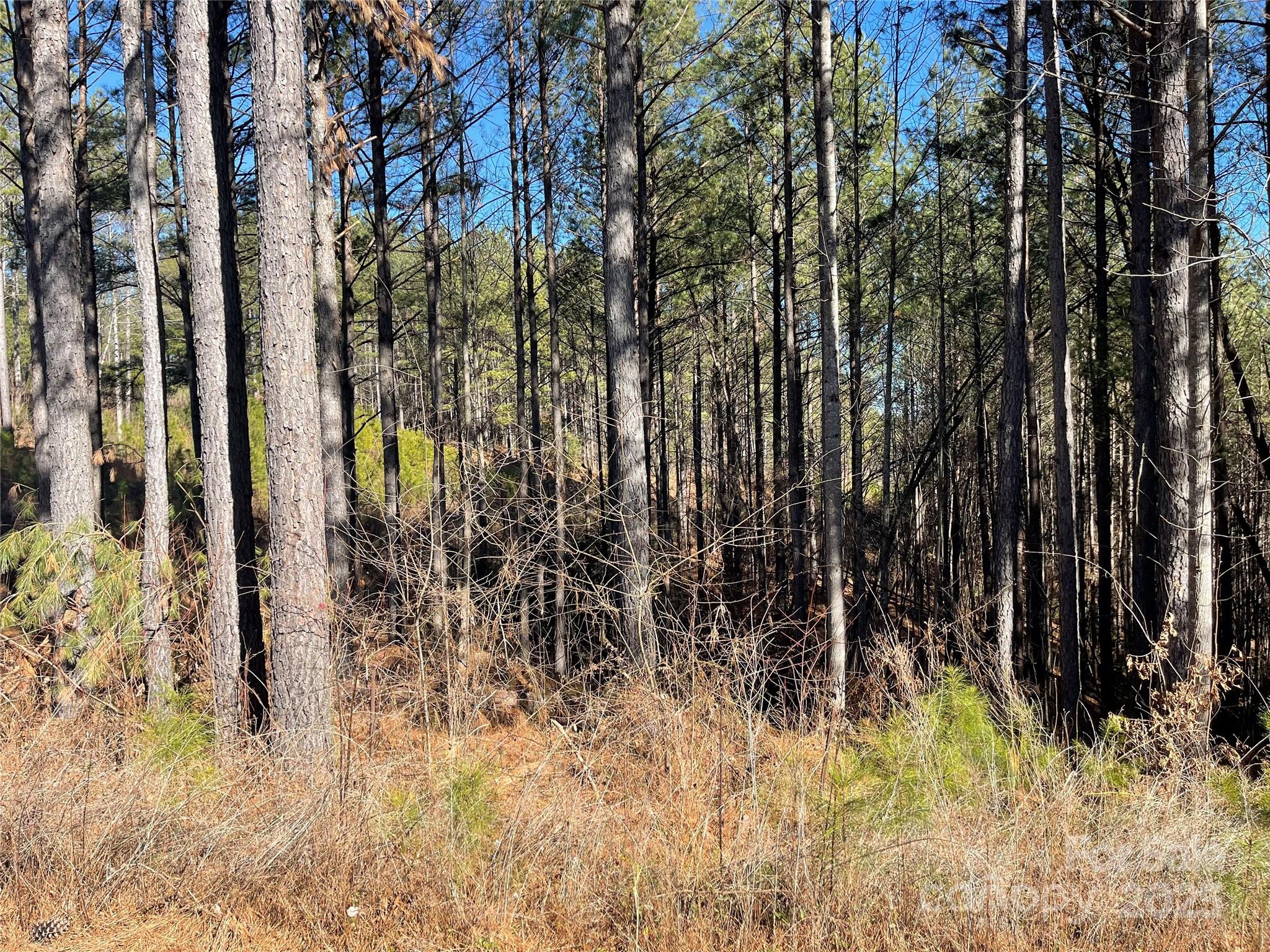 109 Shortoff Trail Valdese NC 28655