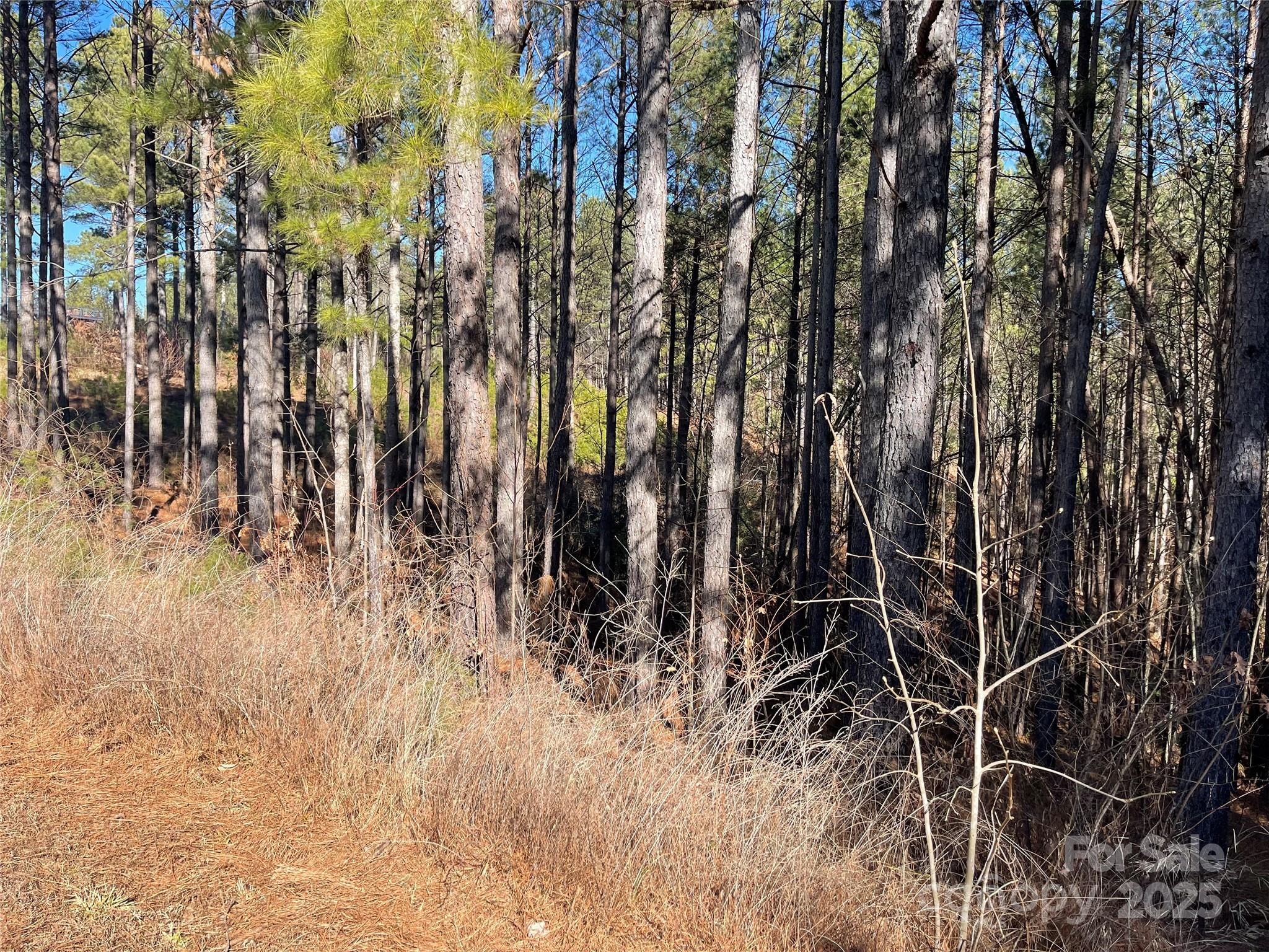 109 Shortoff Trail Valdese NC 28655