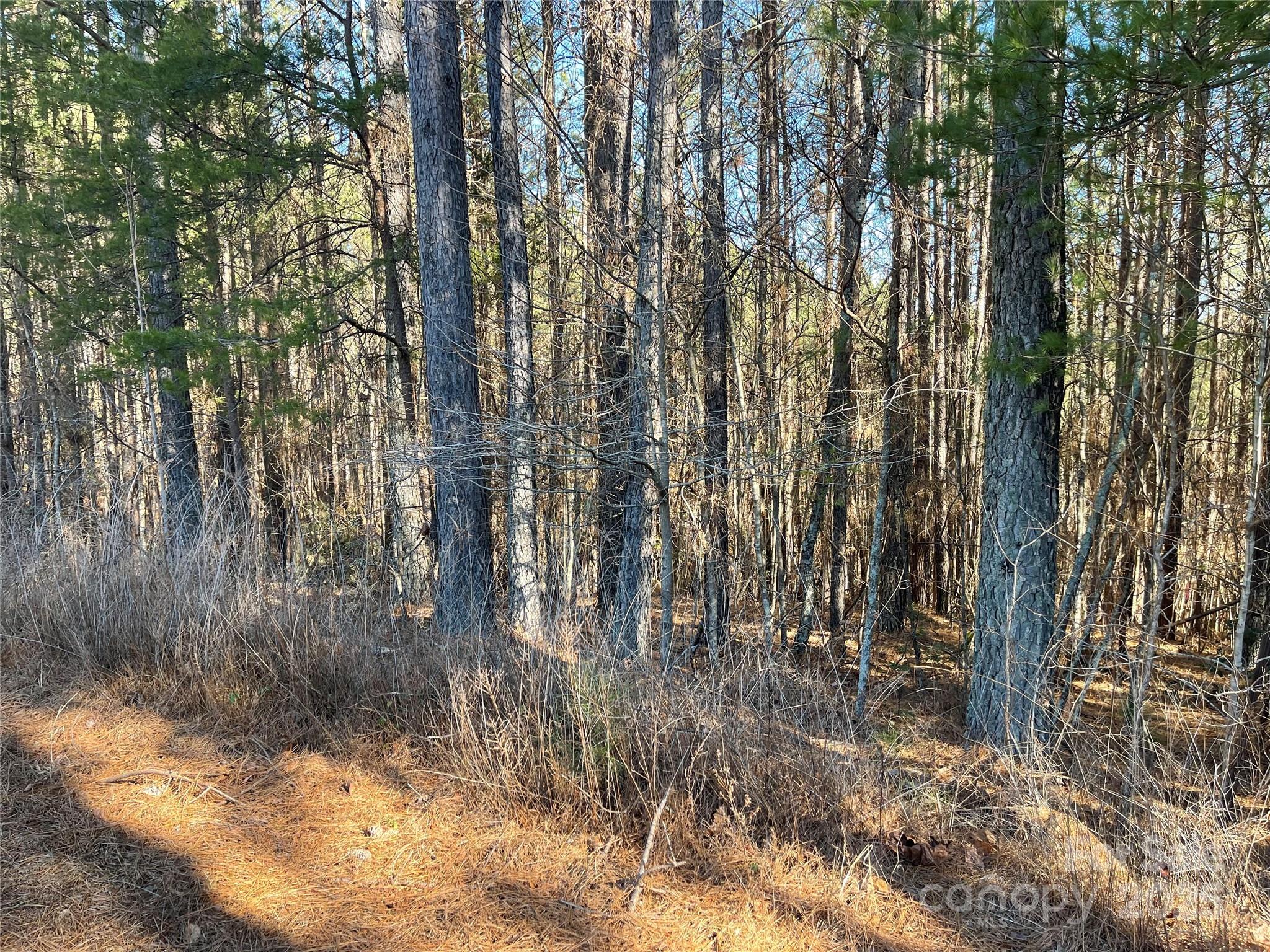 109 Shortoff Trail Valdese NC 28655