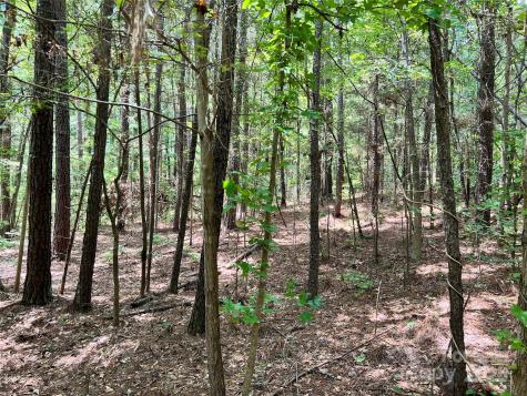 Lot 7 Sc Highway 215 South Jenkinsville SC 29065