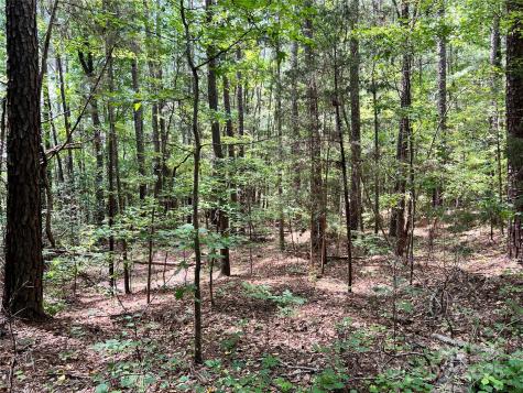 Lot 7 Sc Highway 215 South Jenkinsville SC 29065