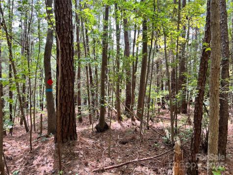 Lot 7 Sc Highway 215 South Jenkinsville SC 29065