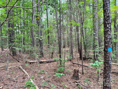 Lot 7 Sc Highway 215 South Jenkinsville SC 29065
