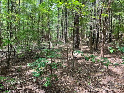 Lot 7 Sc Highway 215 South Jenkinsville SC 29065