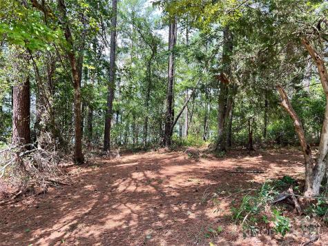 Lot 7 Sc Highway 215 South Jenkinsville SC 29065