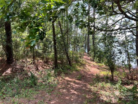 Lot 7 Sc Highway 215 South Jenkinsville SC 29065