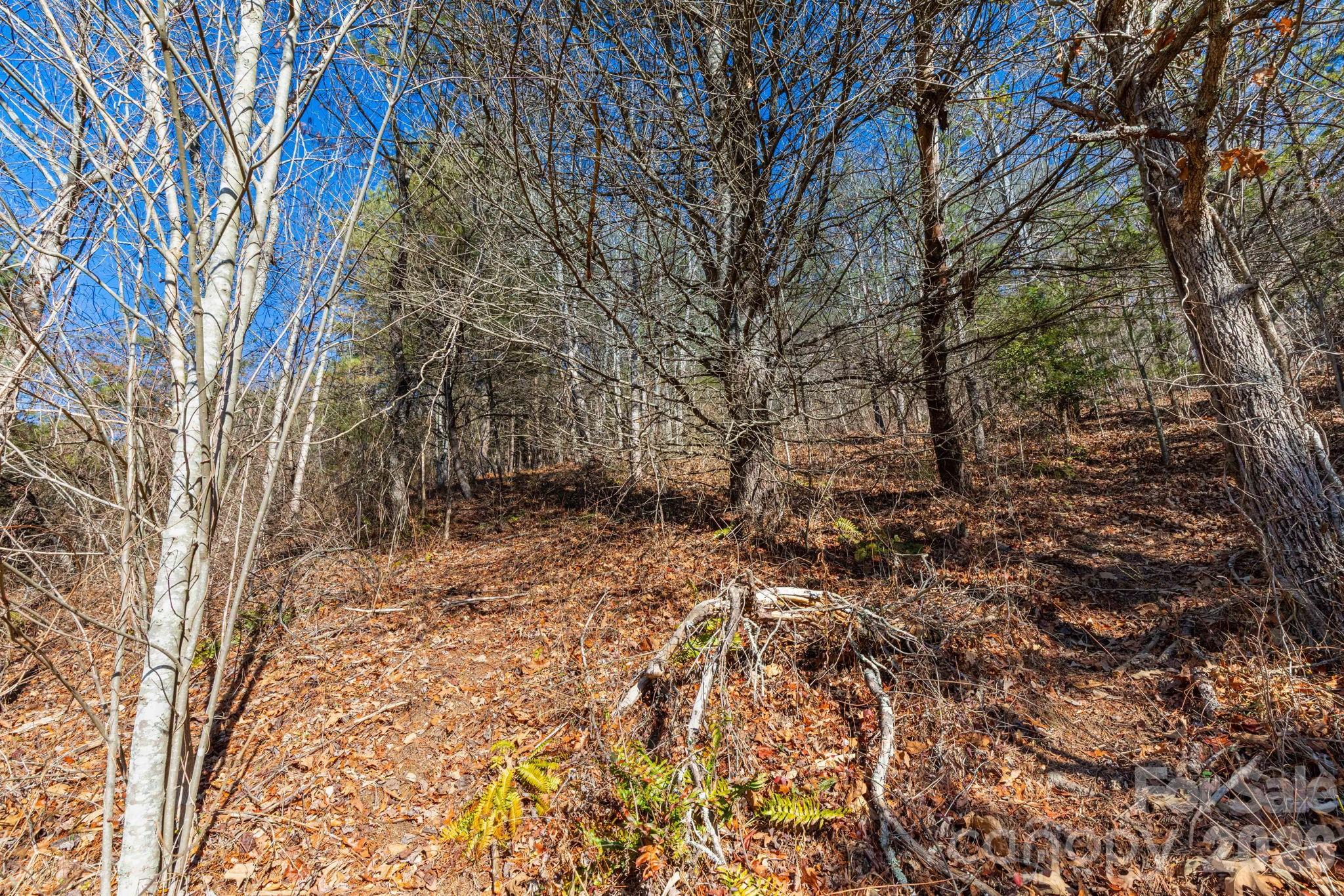 999 Rosalie Lane Waynesville NC 28785
