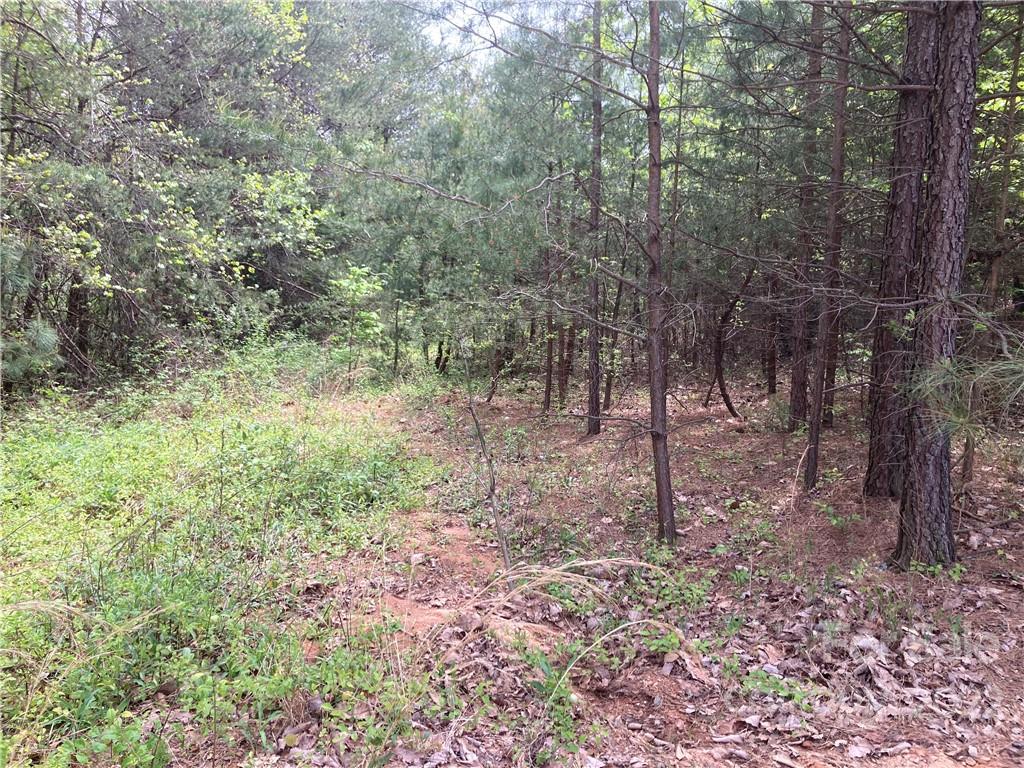 V/l Overland Drive Connelly Springs NC 28612