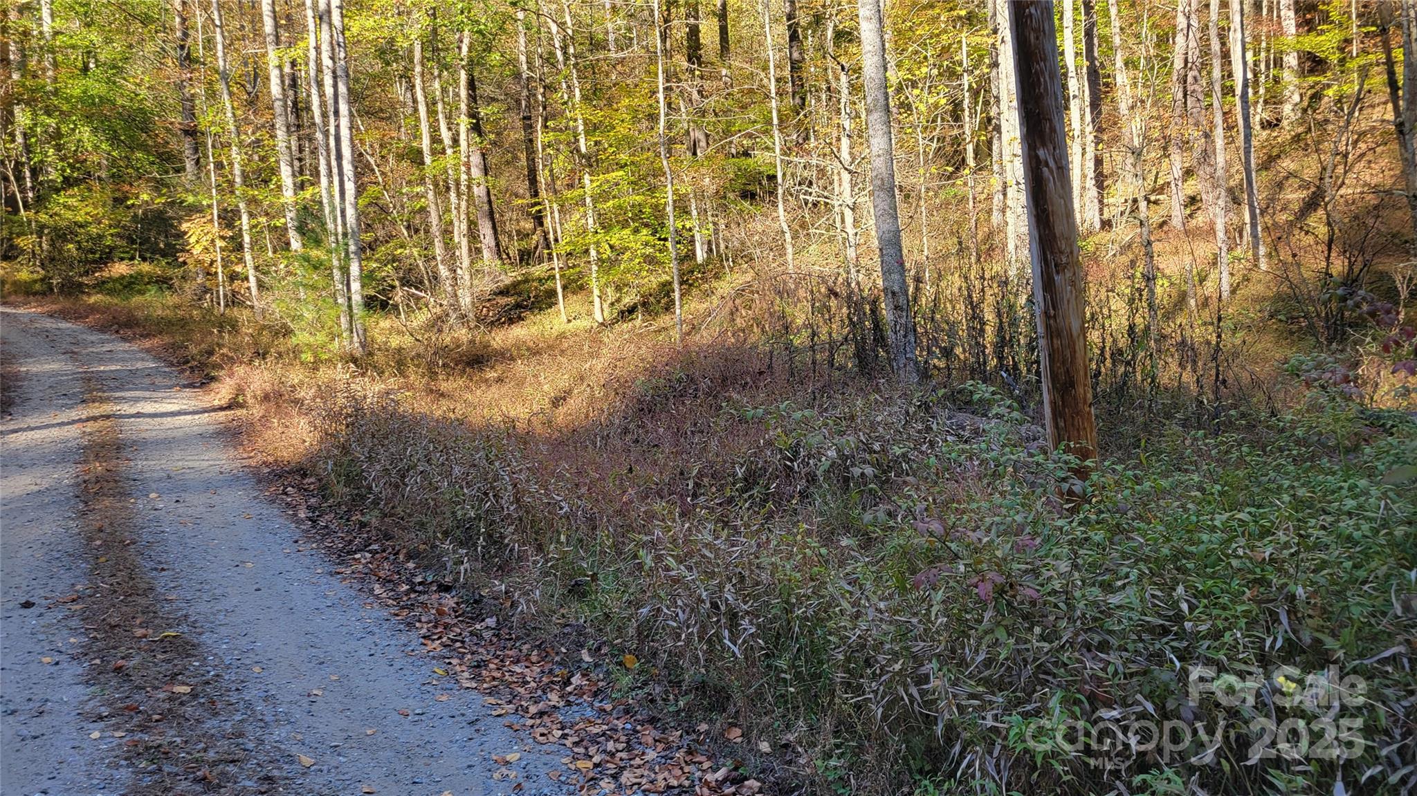 000 Cabin Hill Road Green Mountain NC 28740