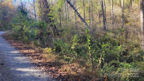 000 Cabin Hill Road Green Mountain NC 28740