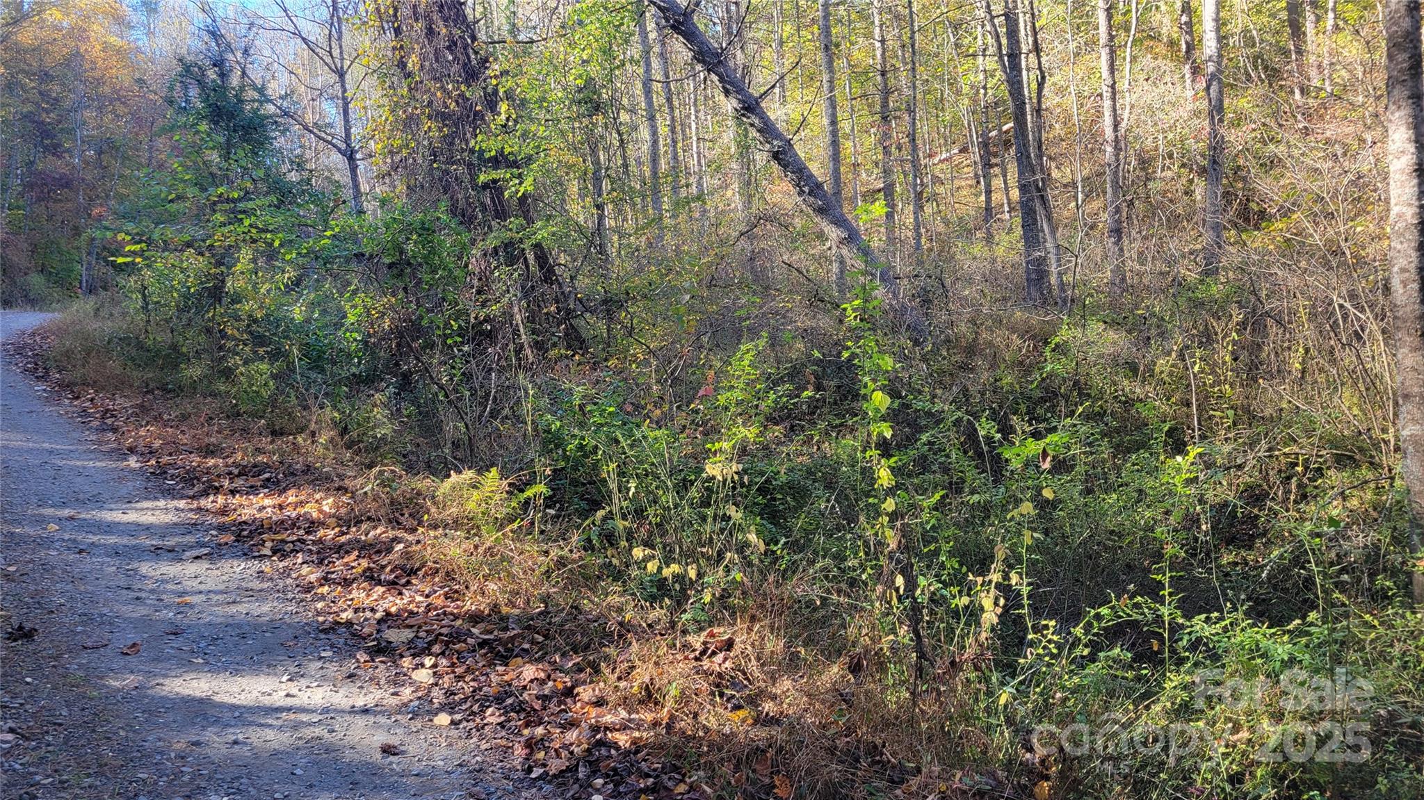 000 Cabin Hill Road Green Mountain NC 28740