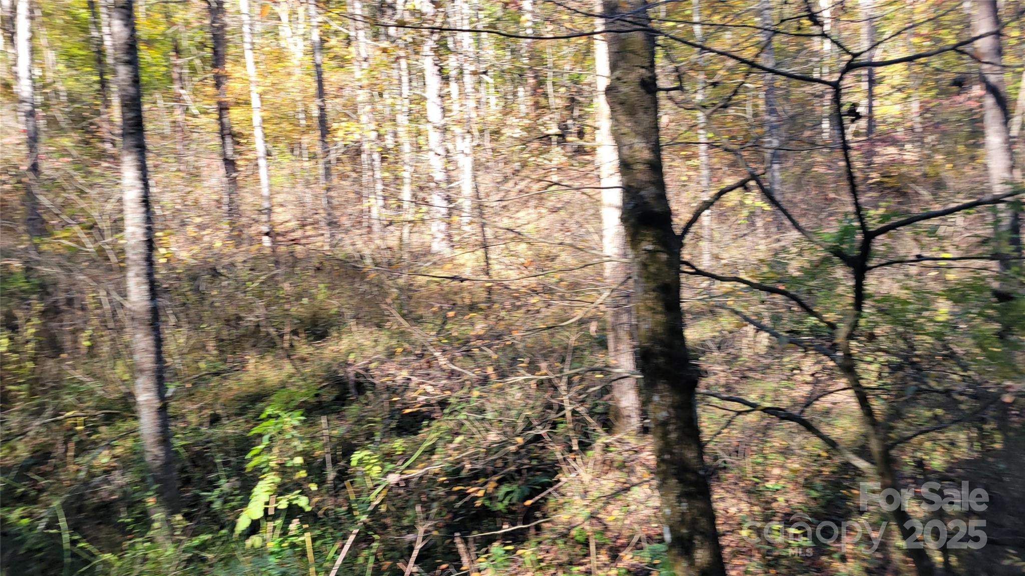 000 Cabin Hill Road Green Mountain NC 28740