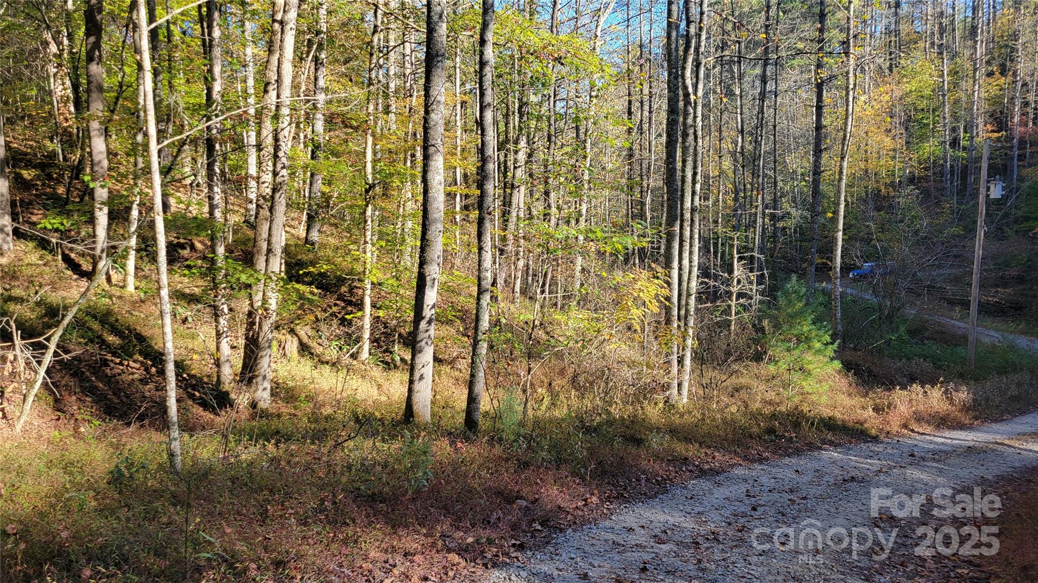 000 Cabin Hill Road Green Mountain NC 28740