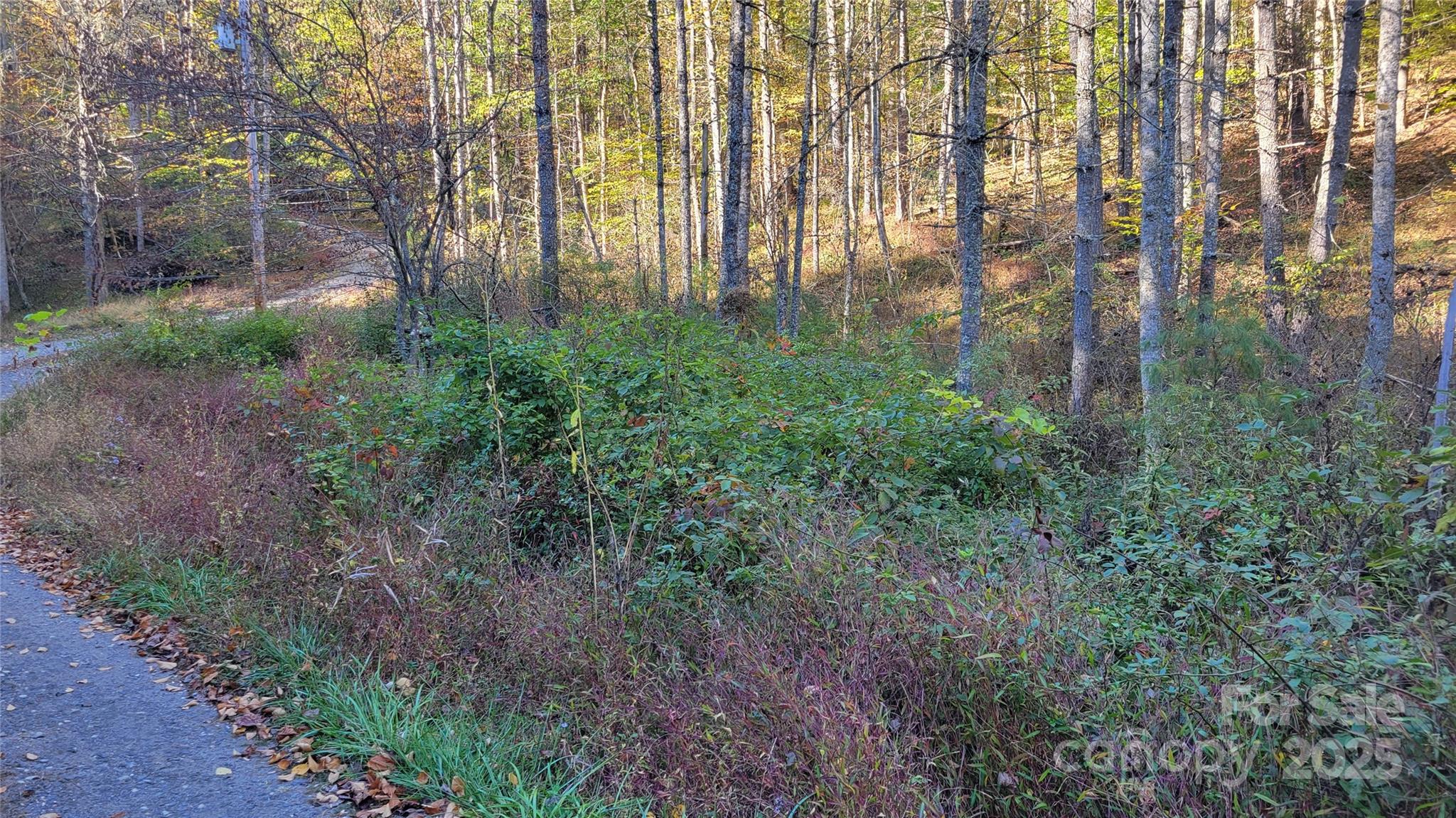 000 Cabin Hill Road Green Mountain NC 28740