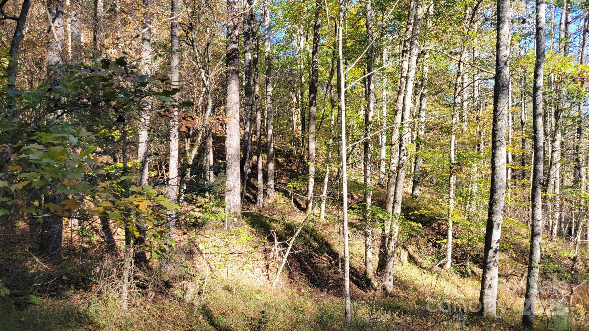 000 Cabin Hill Road Green Mountain NC 28740