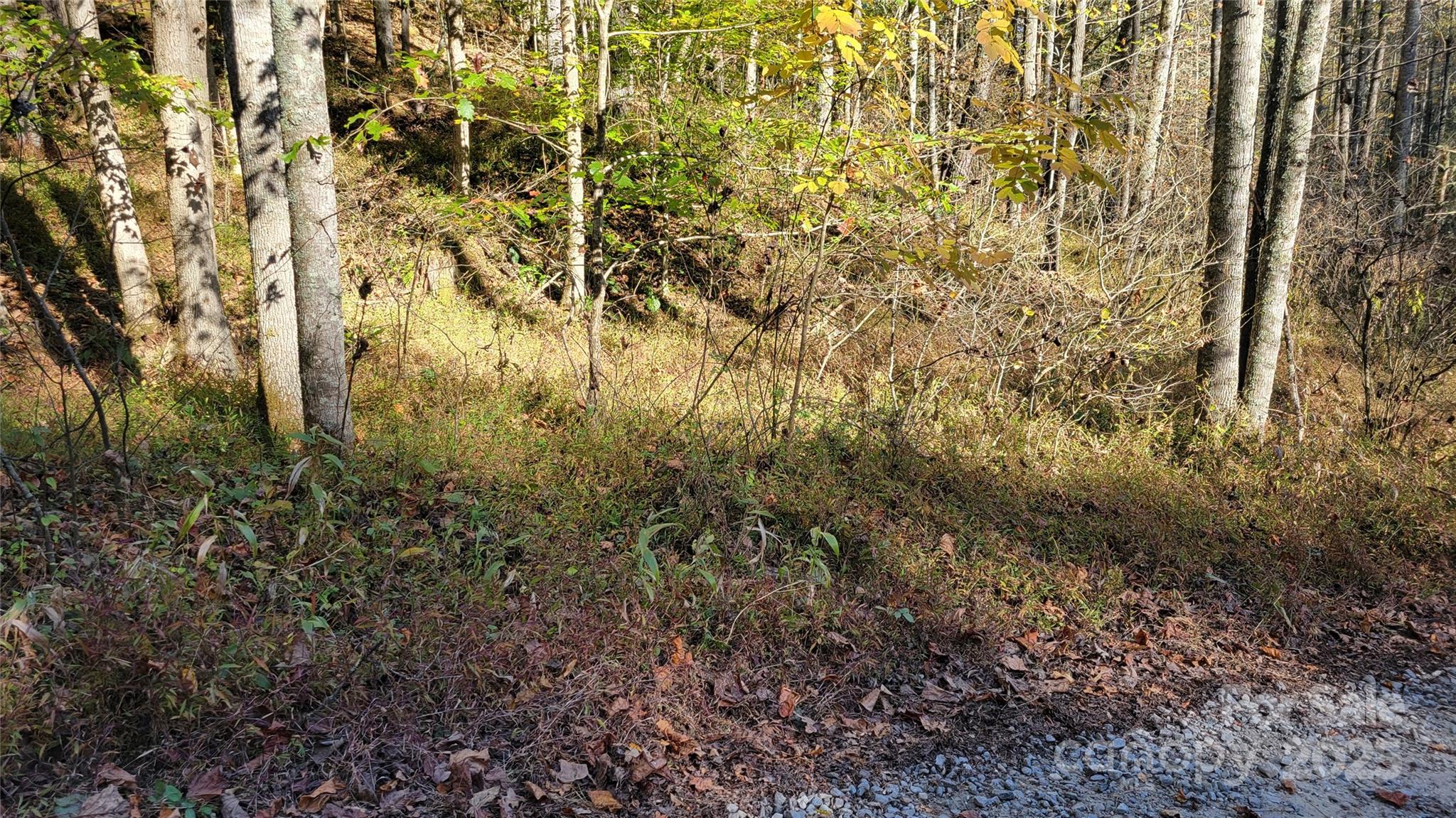 000 Cabin Hill Road Green Mountain NC 28740