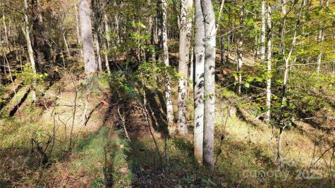 000 Cabin Hill Road Green Mountain NC 28740