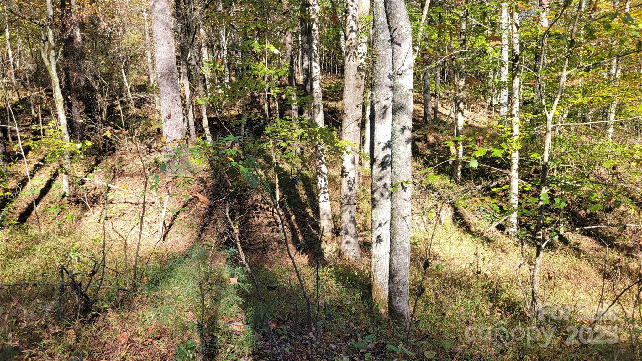 000 Cabin Hill Road Green Mountain NC 28740
