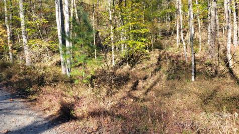 000 Cabin Hill Road Green Mountain NC 28740