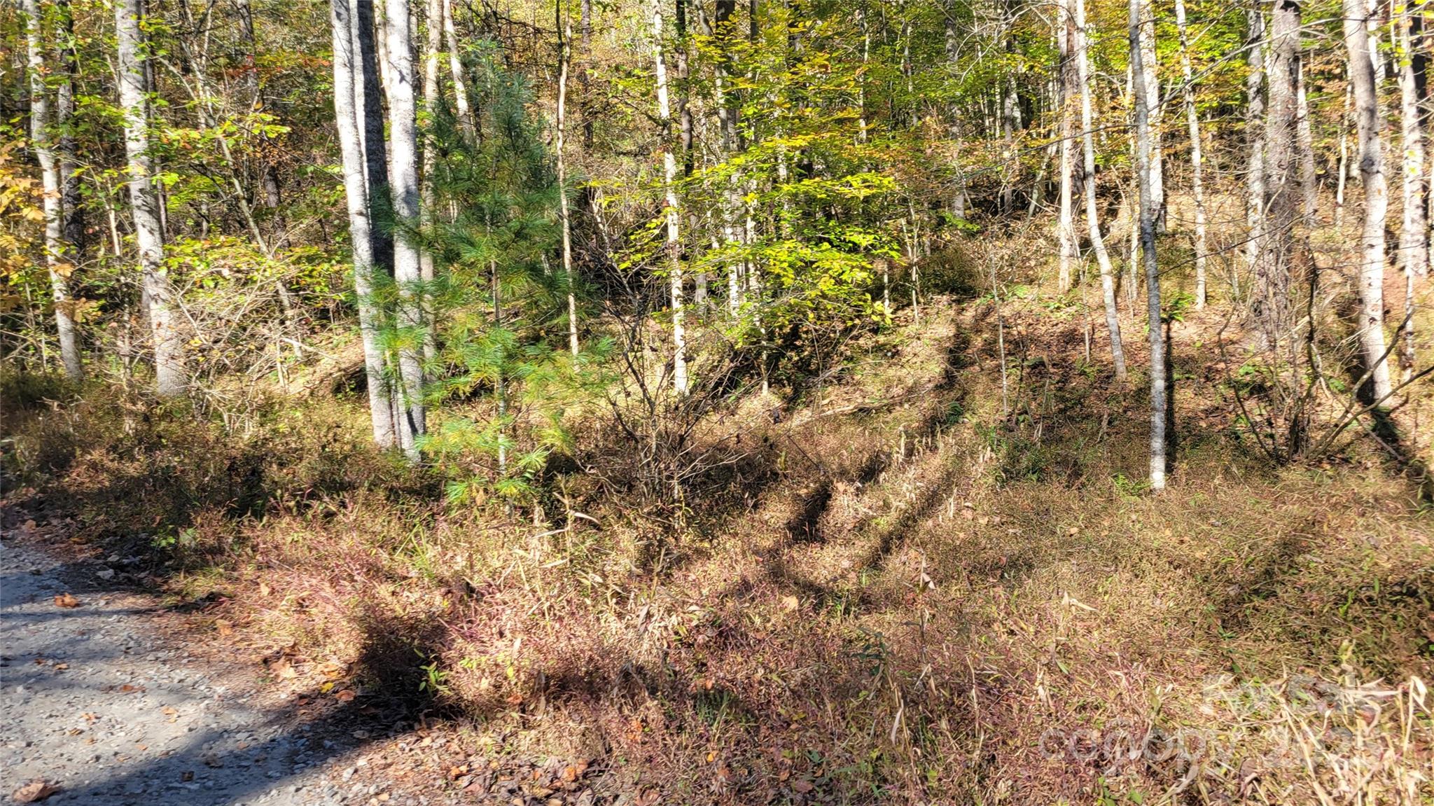 000 Cabin Hill Road Green Mountain NC 28740