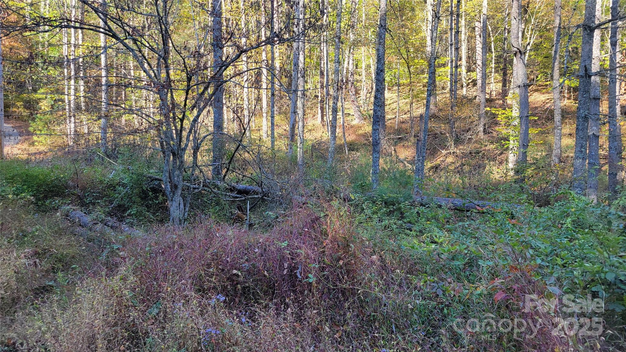 000 Cabin Hill Road Green Mountain NC 28740