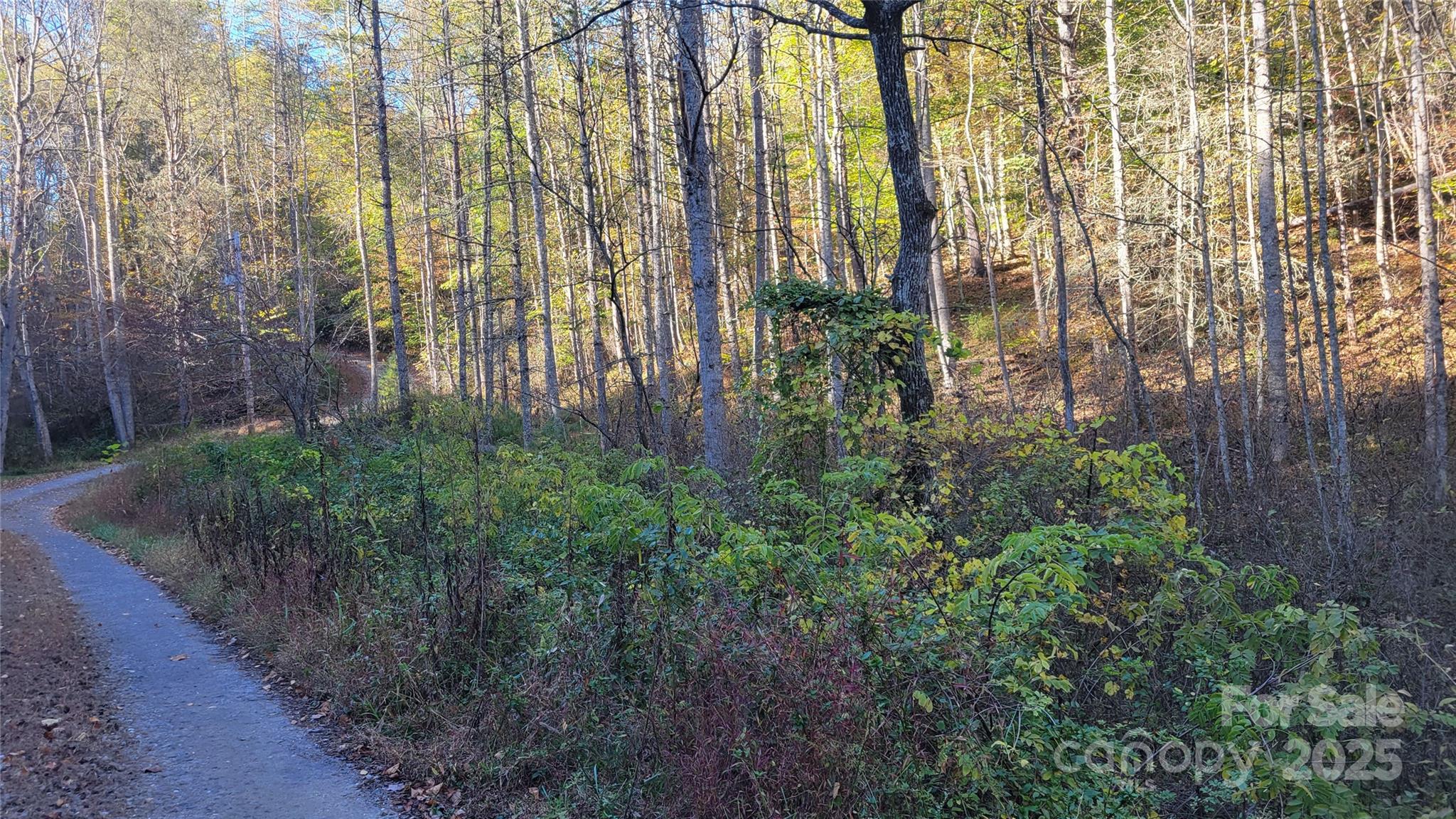 000 Cabin Hill Road Green Mountain NC 28740