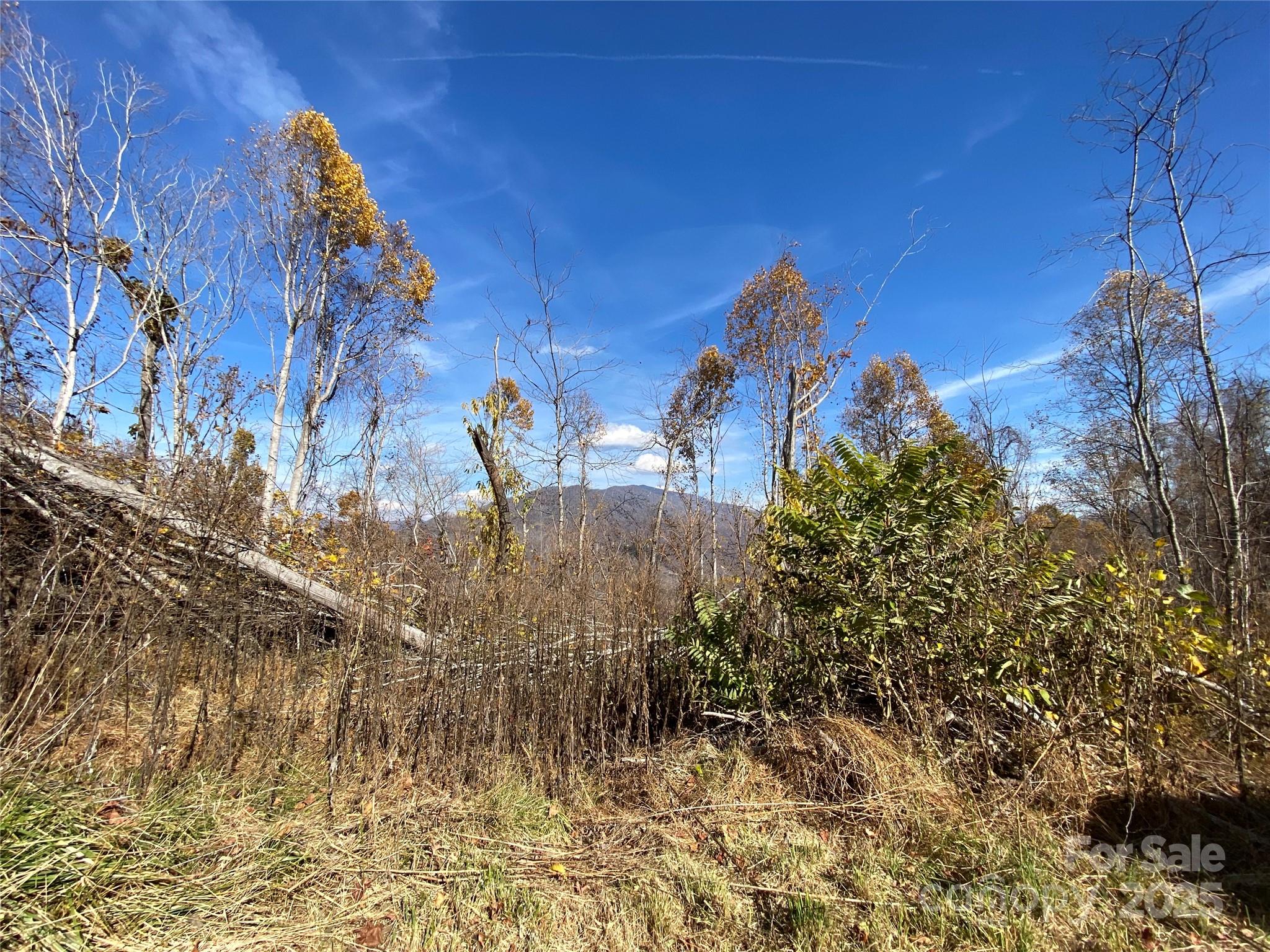 999 Bear Springs Road Bakersville NC 28705