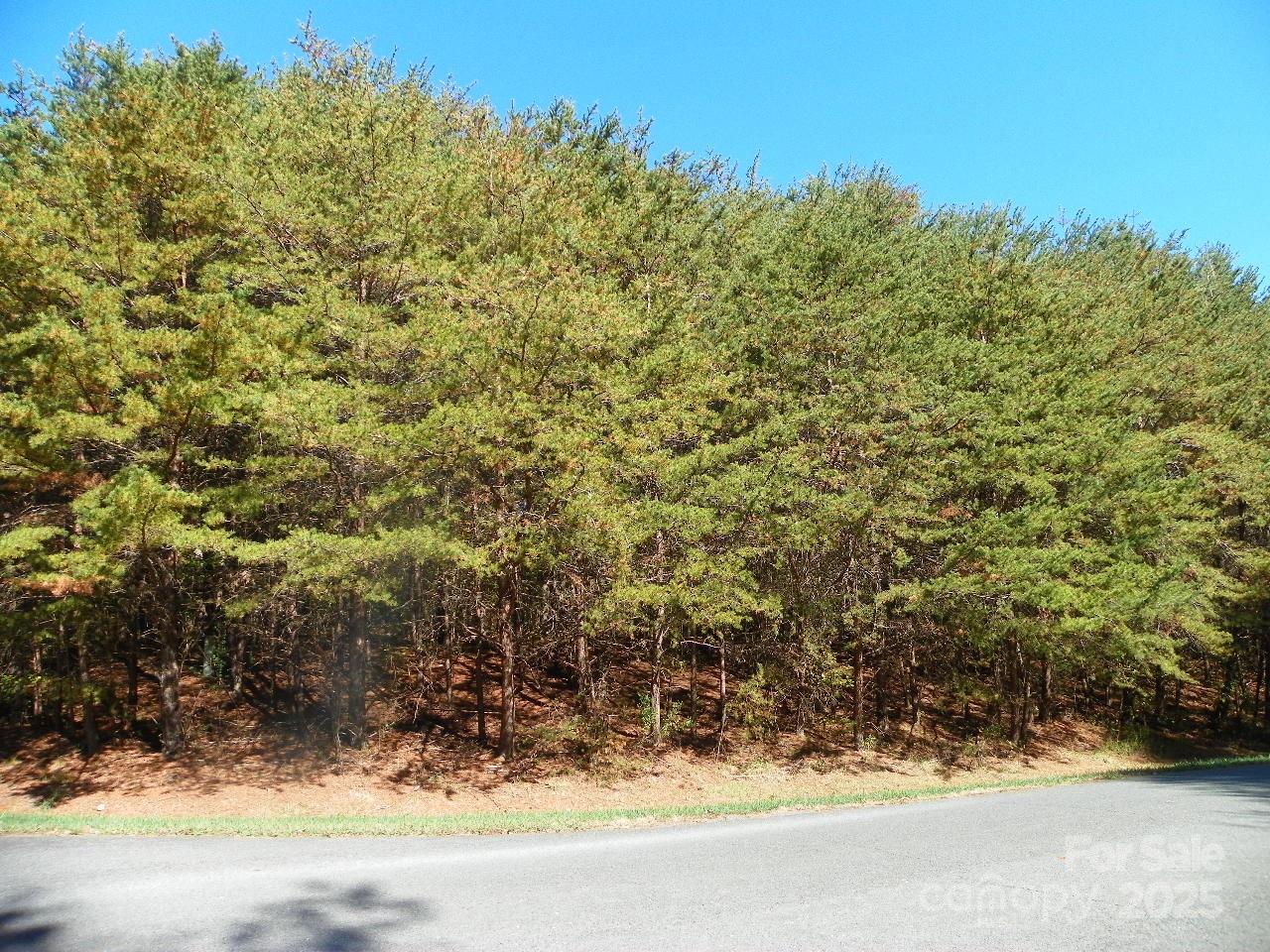 108 Chersonese Court New London NC 28127