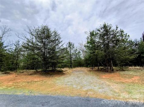 Lot #28 Lake Adger Parkway Mill Spring NC 28756