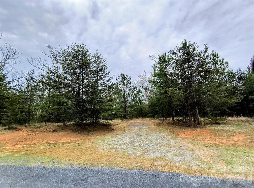 Lot #28 Lake Adger Parkway Mill Spring NC 28756
