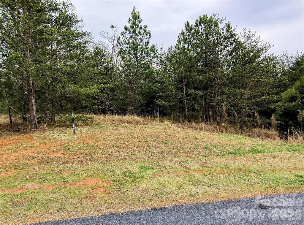 Lot #28 Lake Adger Parkway Mill Spring NC 28756