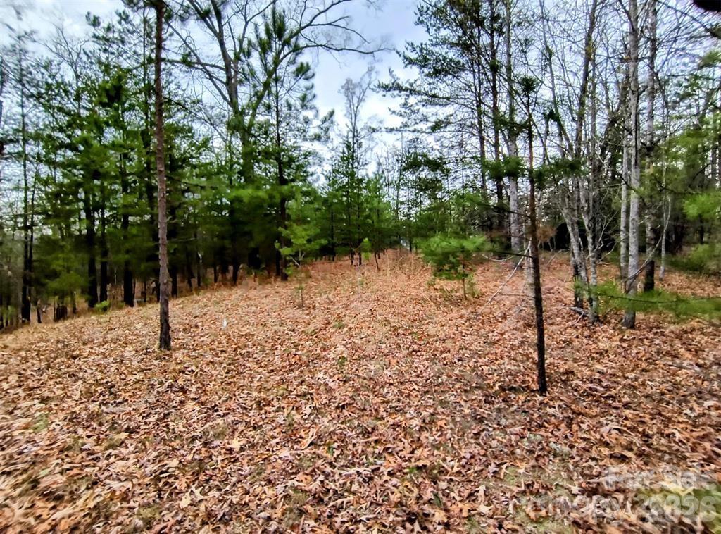 Lot #28 Lake Adger Parkway Mill Spring NC 28756