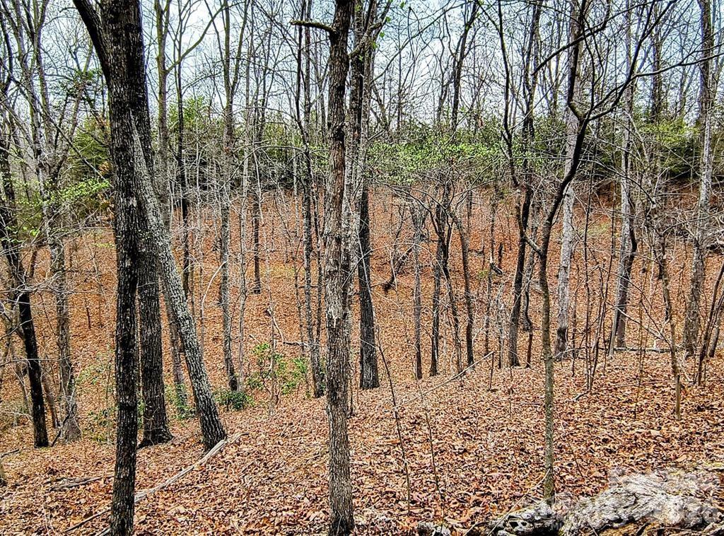 Lot #28 Lake Adger Parkway Mill Spring NC 28756