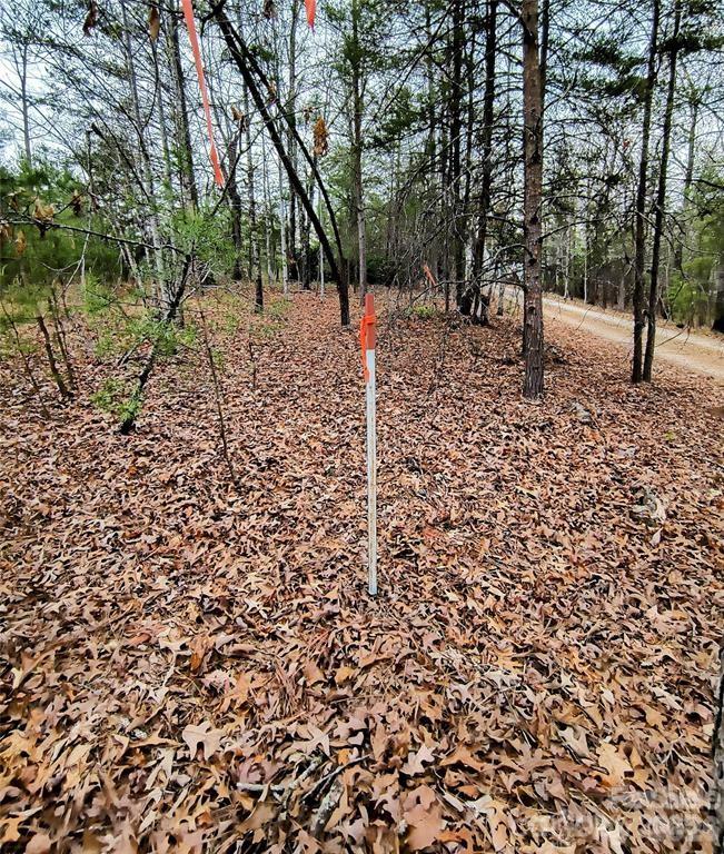 Lot #28 Lake Adger Parkway Mill Spring NC 28756