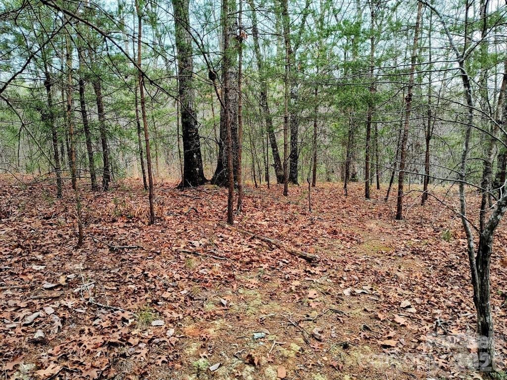 Lot #28 Lake Adger Parkway Mill Spring NC 28756
