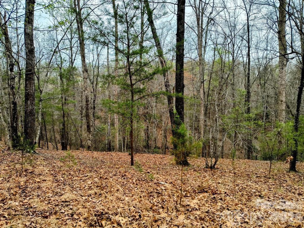 Lot #28 Lake Adger Parkway Mill Spring NC 28756