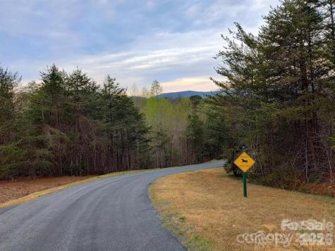 Lot #28 Lake Adger Parkway Mill Spring NC 28756