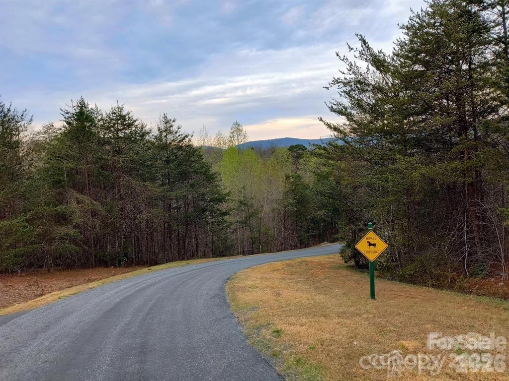 Lot #28 Lake Adger Parkway Mill Spring NC 28756
