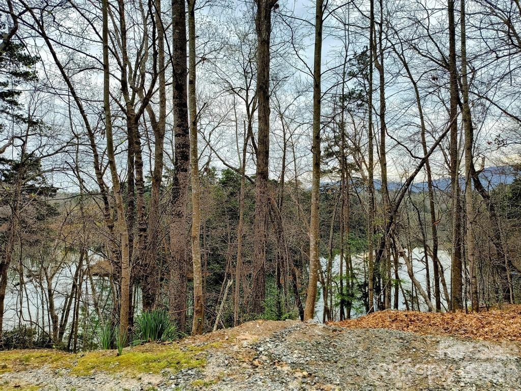 Lot #28 Lake Adger Parkway Mill Spring NC 28756