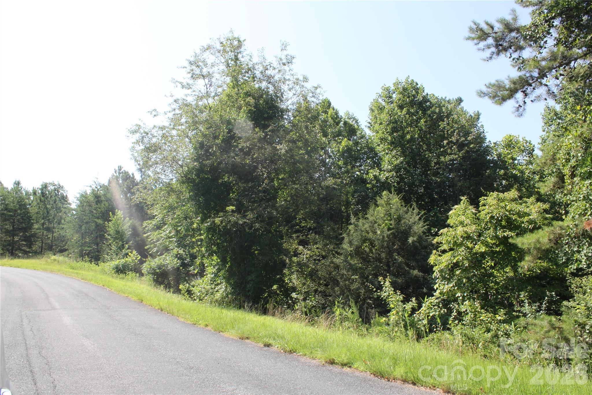 Lot #28 Lake Adger Parkway Mill Spring NC 28756