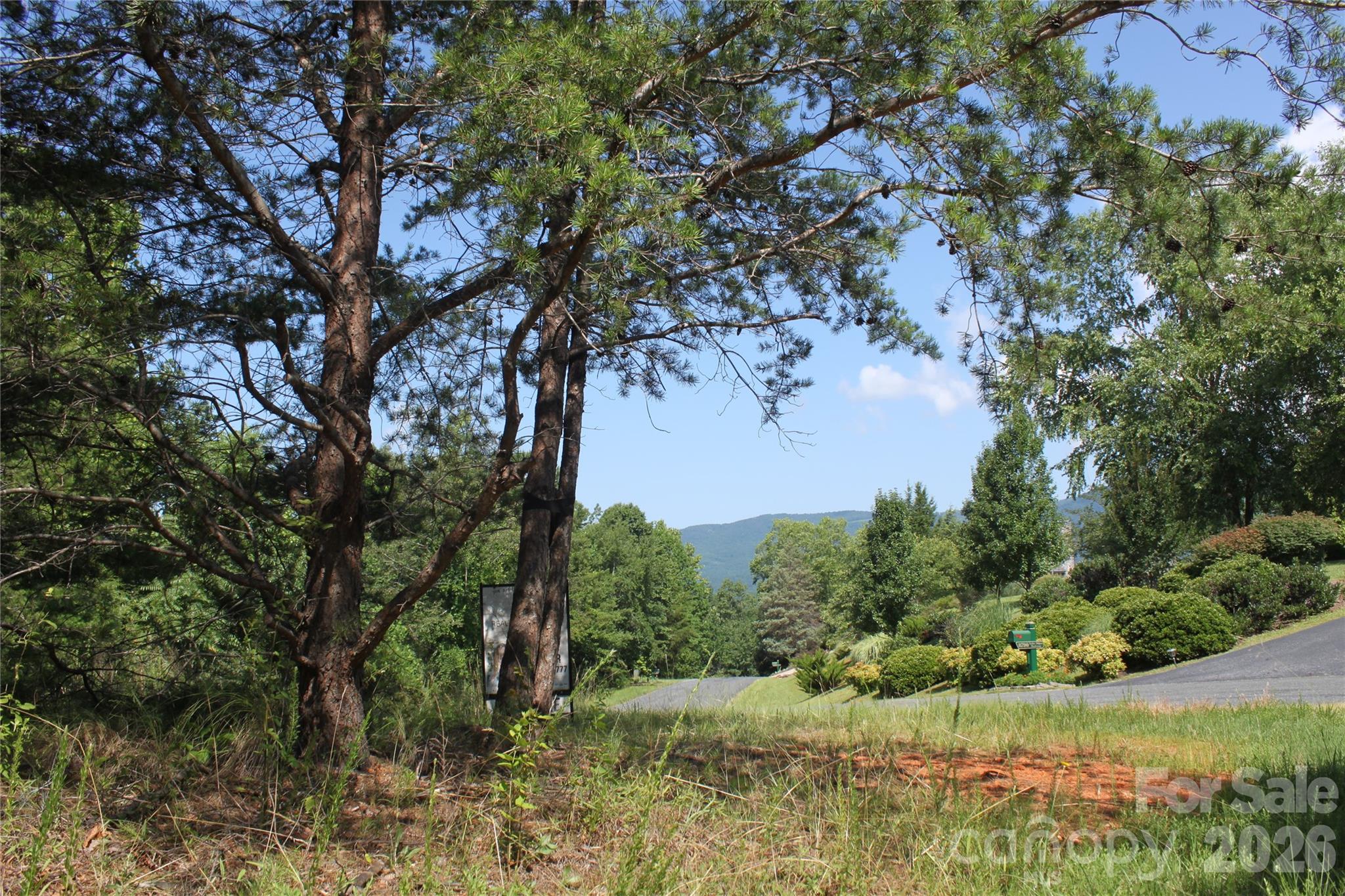 Lot #28 Lake Adger Parkway Mill Spring NC 28756