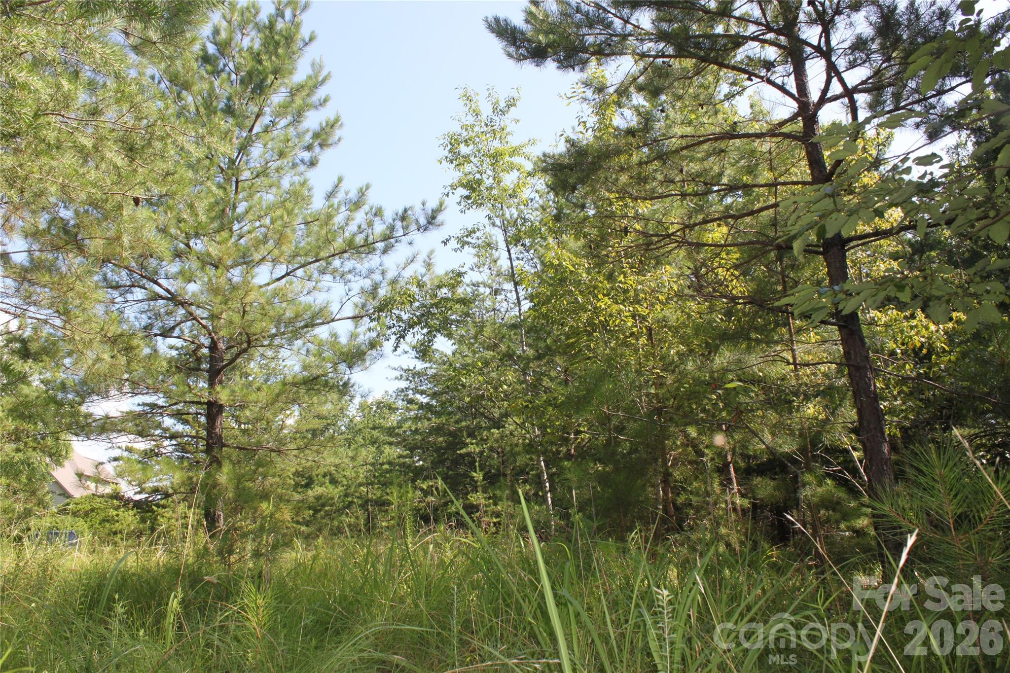 Lot #28 Lake Adger Parkway Mill Spring NC 28756