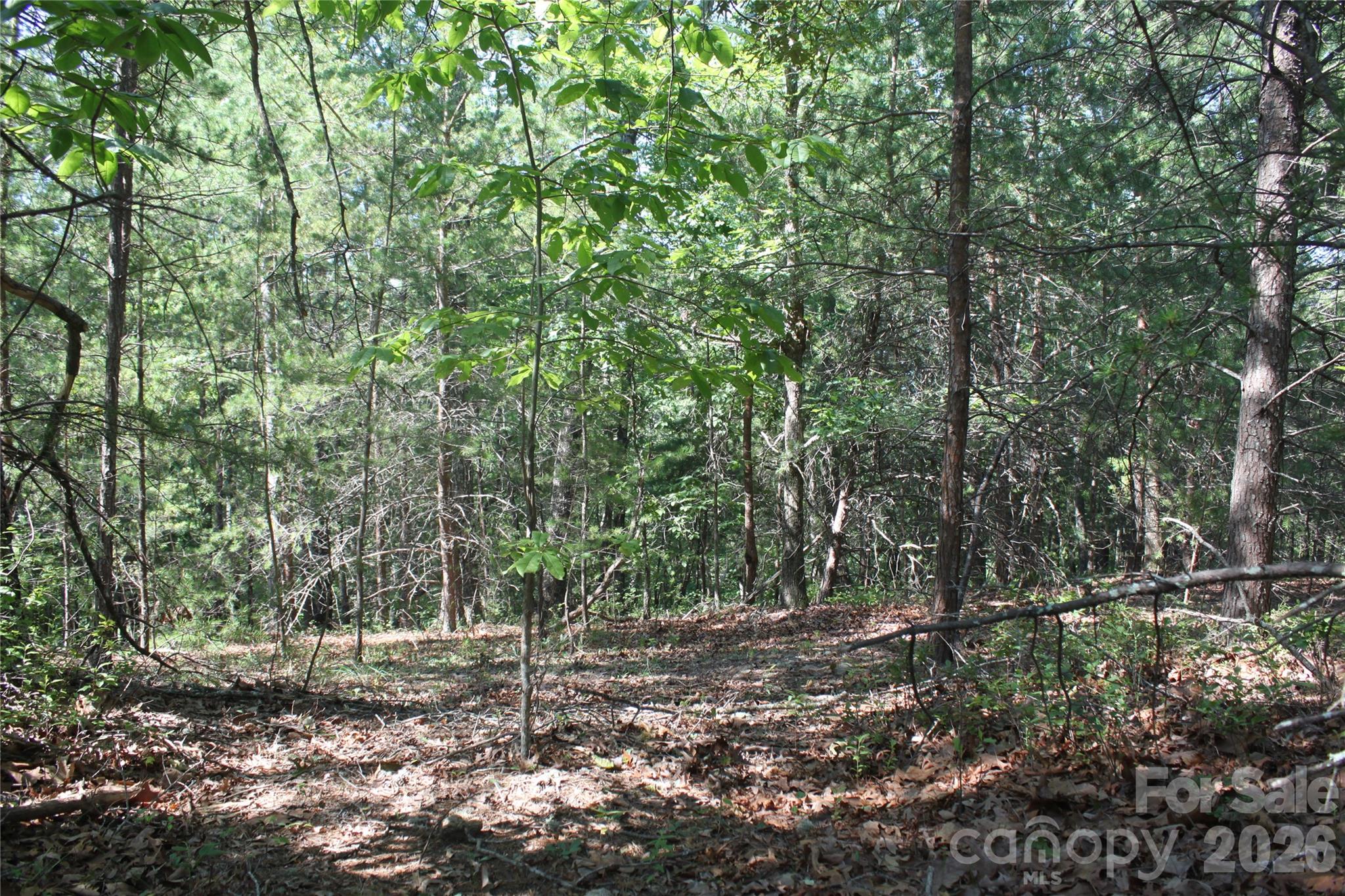 Lot #28 Lake Adger Parkway Mill Spring NC 28756