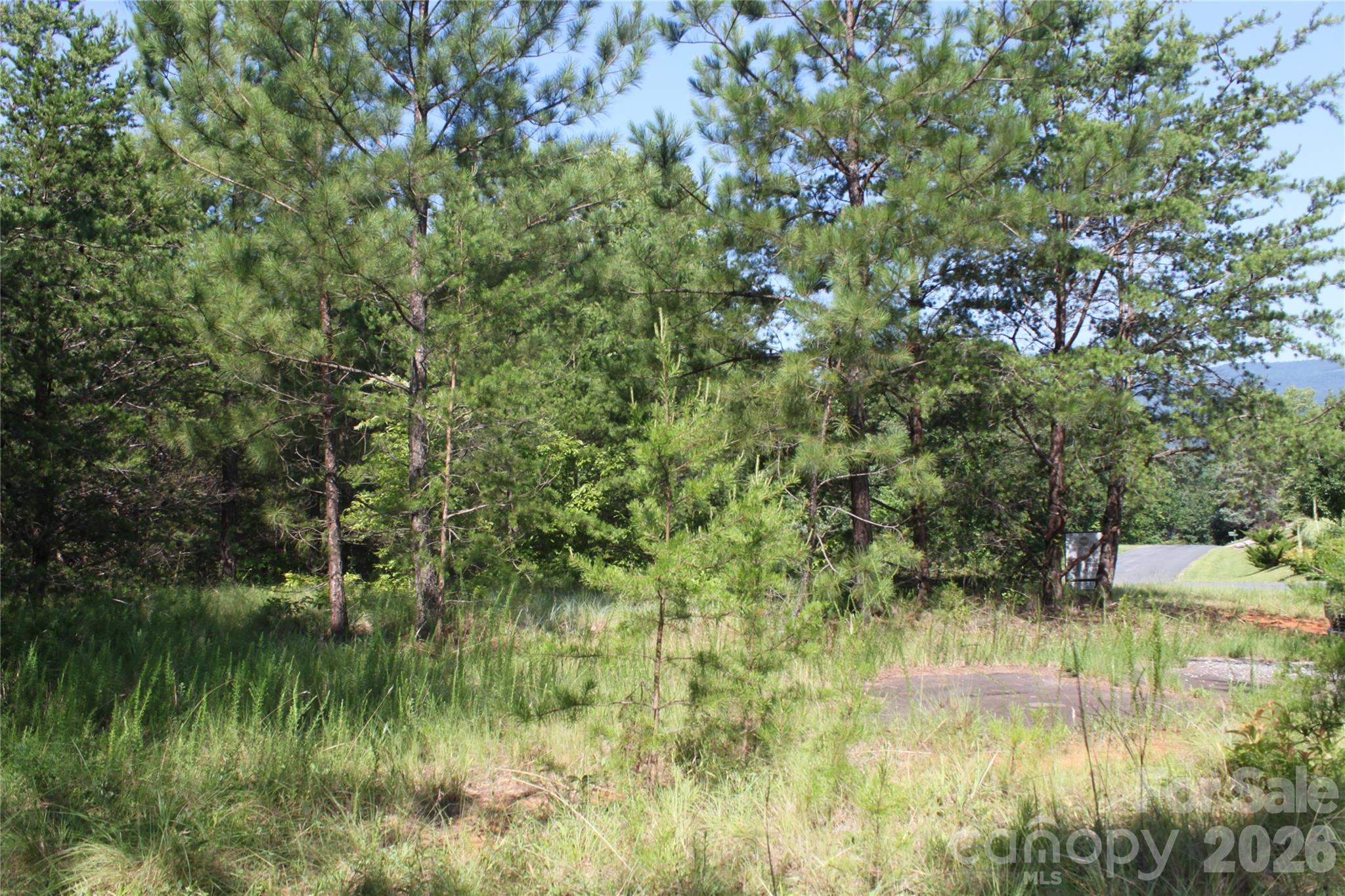 Lot #28 Lake Adger Parkway Mill Spring NC 28756